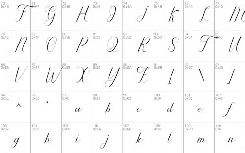 Serendipity Calligraphy Font 2