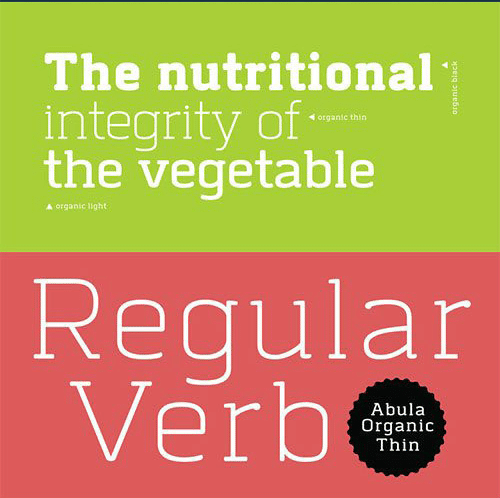Abula-Slab-Serif-Font-Family-2