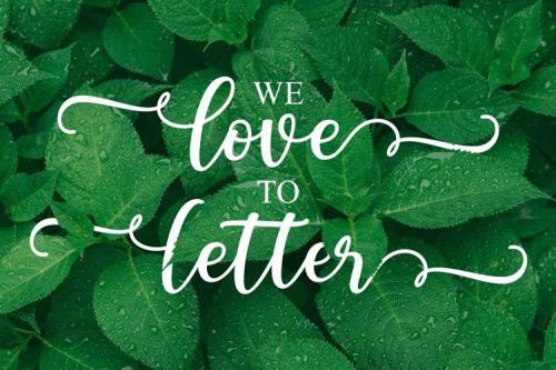 Adiline Script Font 2