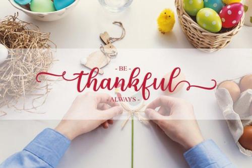 Adiline Script Font 5