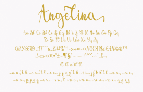 Angelina Script Font 9