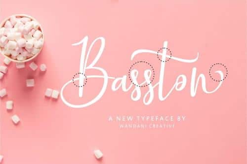 Basston Script Beauty Font 4