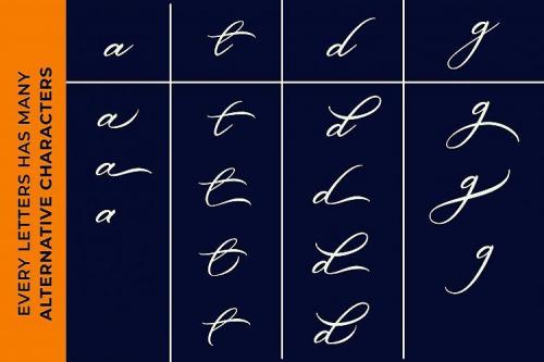 Belgian Signature Calligraphy Font 1