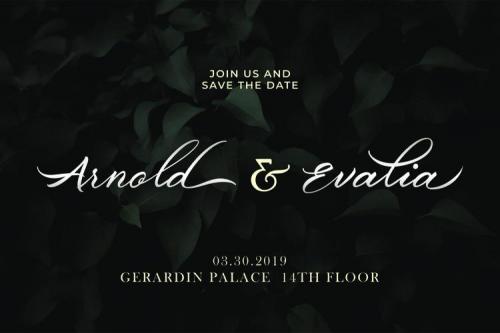 Belgian Signature Calligraphy Font 5
