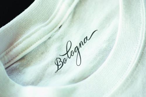 Belgian Signature Calligraphy Font 9