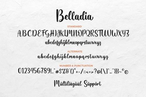 Belladia Font 8