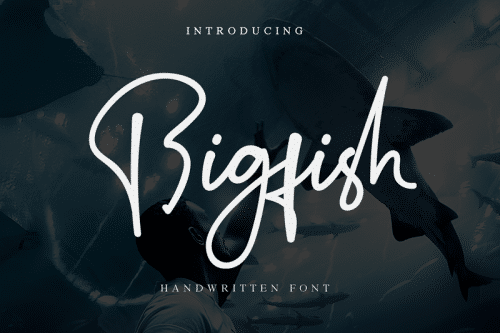 Bigfish Handwritten Font