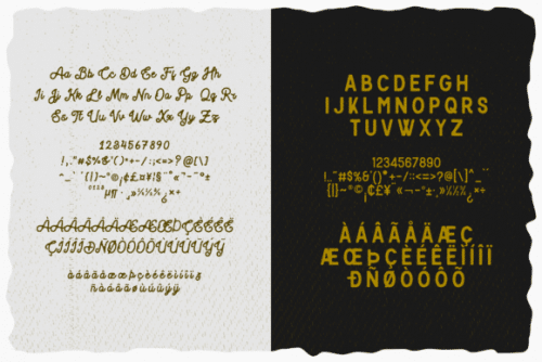 Blackcode Script Font 15