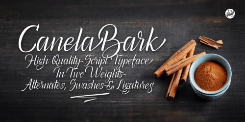 Canela Bark Font 1