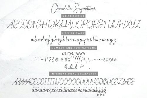 Chandelle Signatures Script Font 10