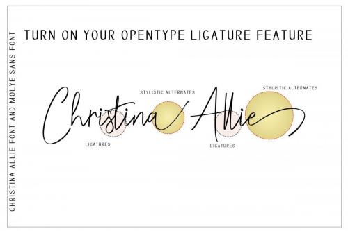Christina Allie Script Font 3