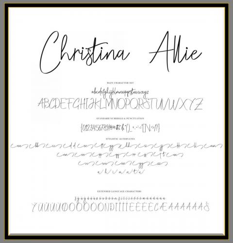 Christina Allie Script Font 6