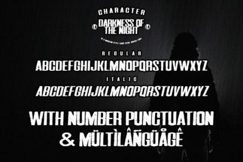 Darkness Of The Night Font 8