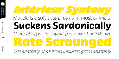 Kicker Font 5