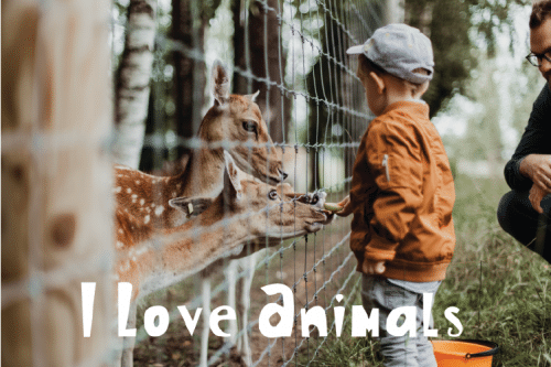 Kids Handwritten Font 1
