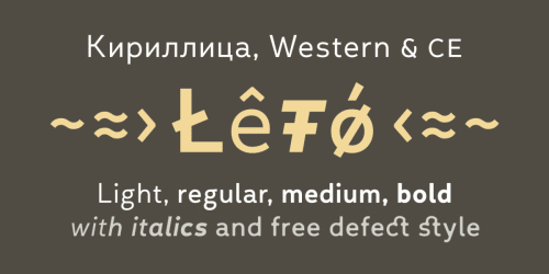 Leto Text Sans Defect Font 9