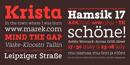 Marek Slab Font Family 1