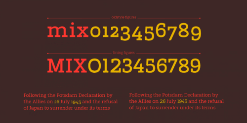 Marek Slab Font Family 8