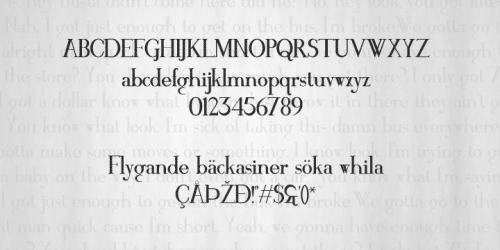 Mawns' Serif Font 1