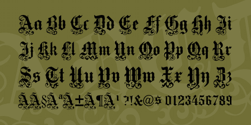 Medici Text Font 2