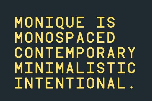 Monique Contemporary Monotype Font 3