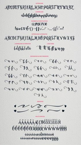 Nanda Script Font 11