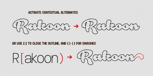 Rough Rakoon Font 1