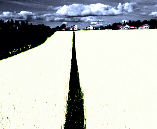 Rye-Field-Font