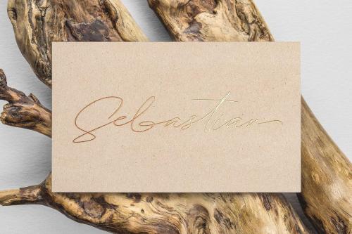 Samantha Signature Font 5