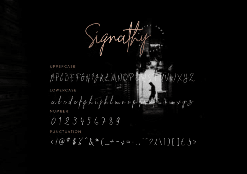 Signathy Script Font 4