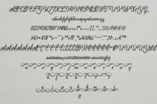 Sunbunny Calligraphy Script Font 10