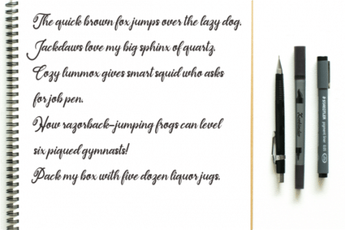 Sunbunny Calligraphy Script Font 9