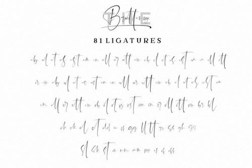 The Brittany Font Trio1 6