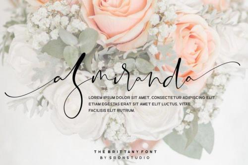 The Brittany Font Trio 9