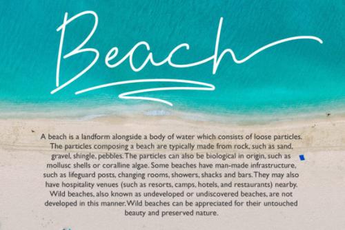 Violia Script Font 15