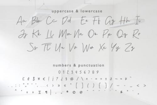 Violia Script Font 2