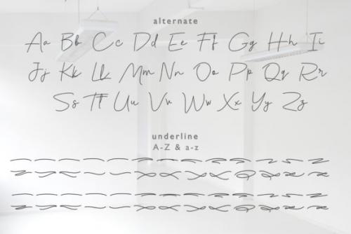 Violia Script Font 3