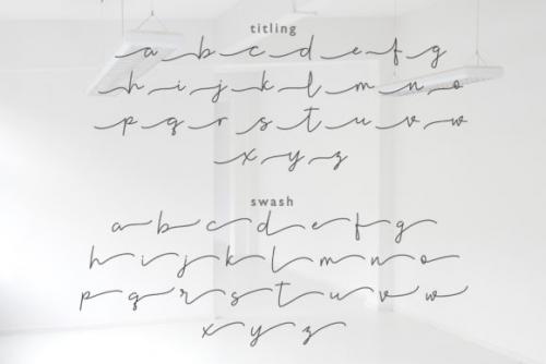 Violia Script Font 4