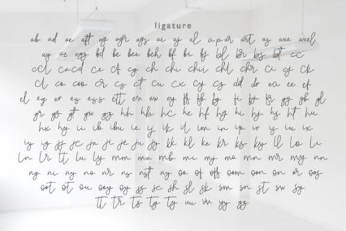 Violia Script Font 5