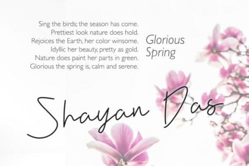 Violia Script Font 7