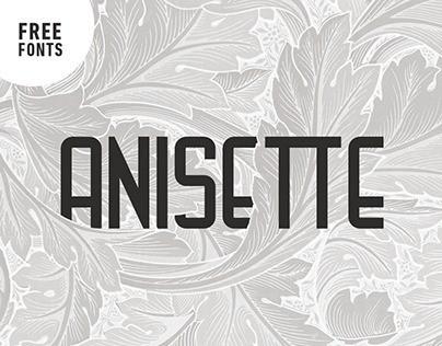 Anisette Sans Serif Font