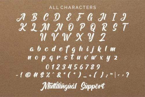 Arfelick Feather Script Font 8