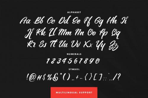 Bellerin Handmade Script Font 1