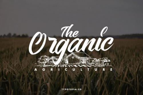 Bellerin Handmade Script Font 2
