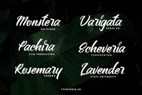 Bellerin Handmade Script Font 6