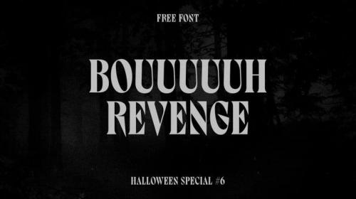 Bouuuuuh Revenge – Display Font