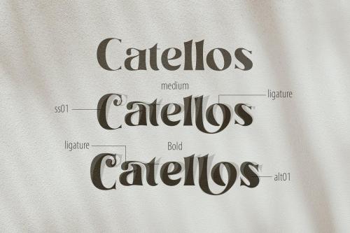 Catellos Powerful Serif Font 8