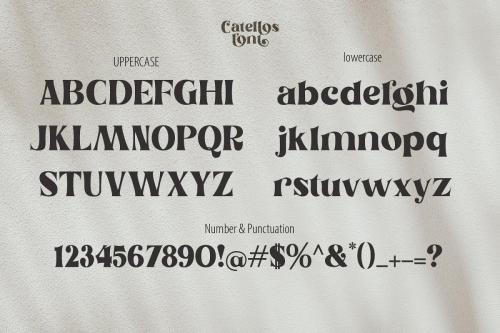 Catellos Powerful Serif Font 9