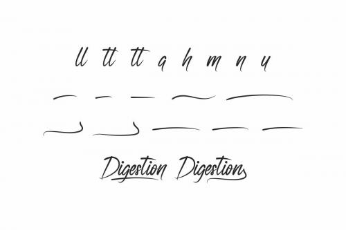 Digestion Brush Hand Lettering Font 2