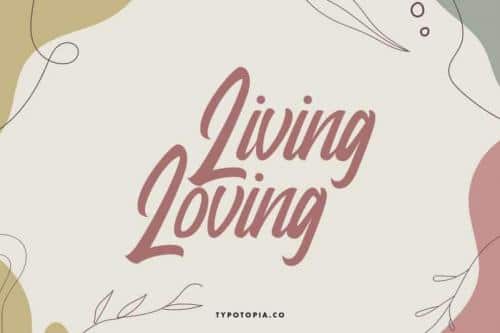 Dudley Modern Script Font 2